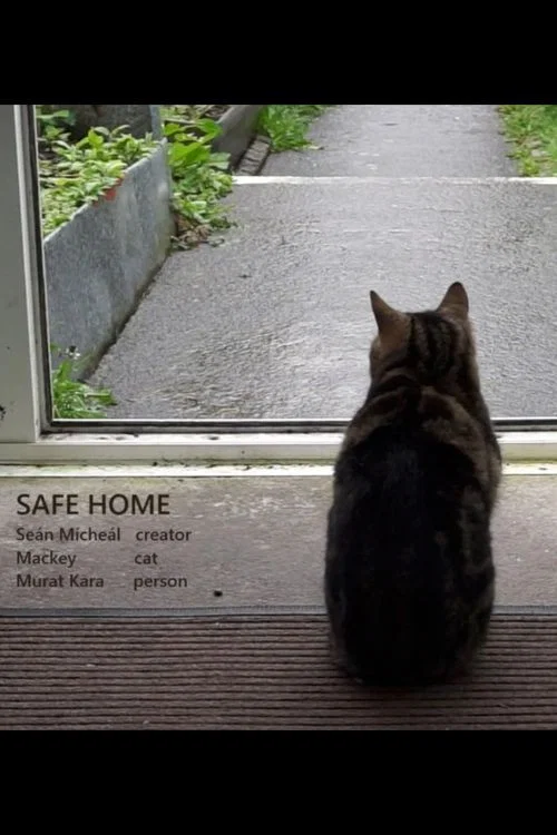 Safe Home постер