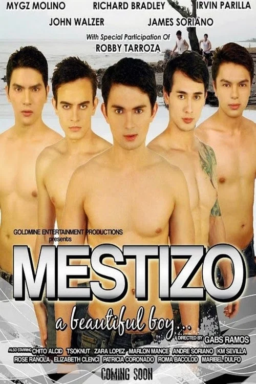 Mestizo: A Beautiful Boy постер