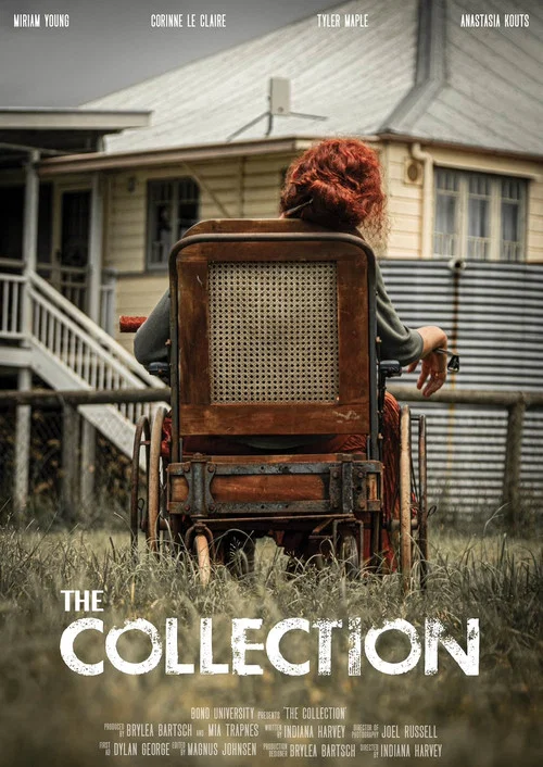 The Collection постер