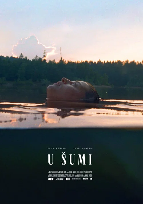 U šumi постер