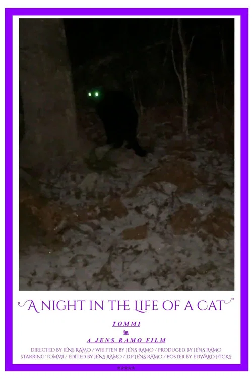 A Night in the Life of a Cat постер