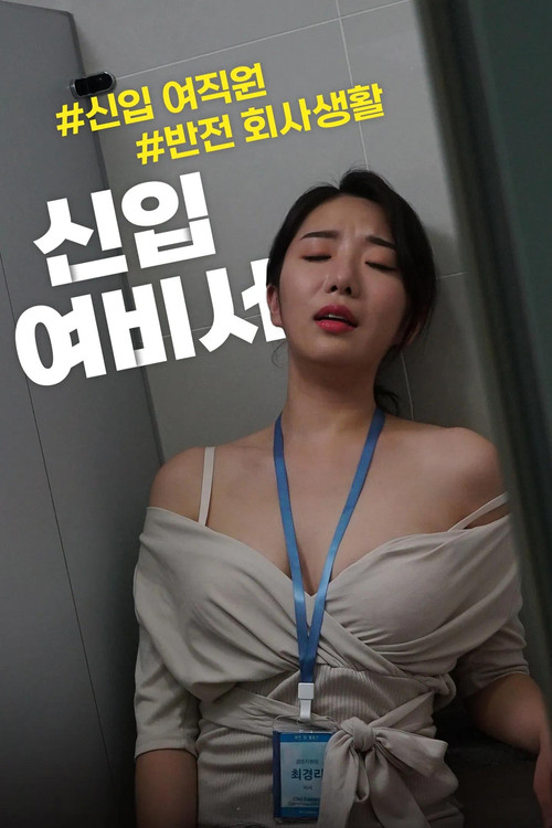 신입 여비서 постер