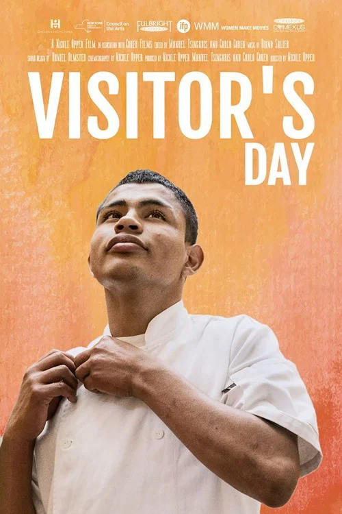 Día de Visita постер