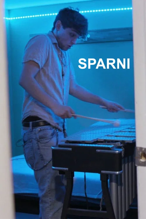 Sparni постер