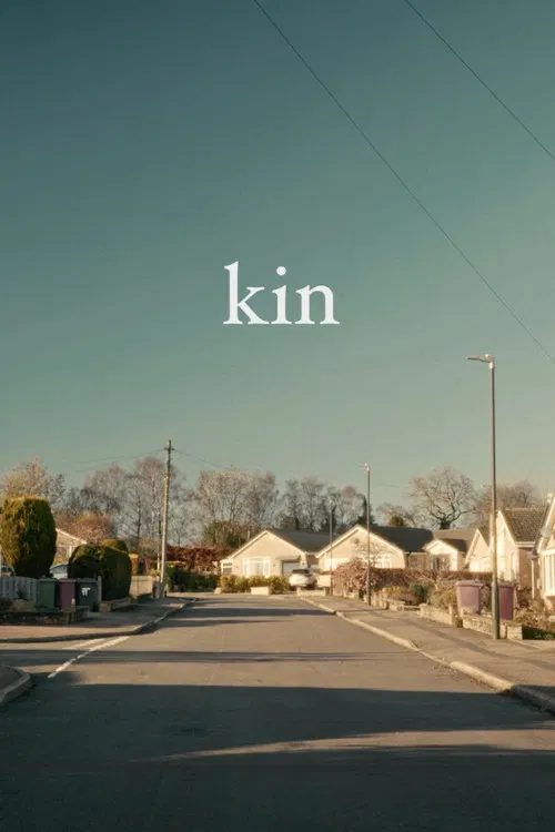 Kin постер