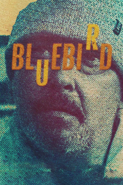 Bluebird постер