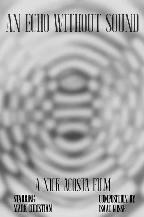 An Echo Without Sound постер