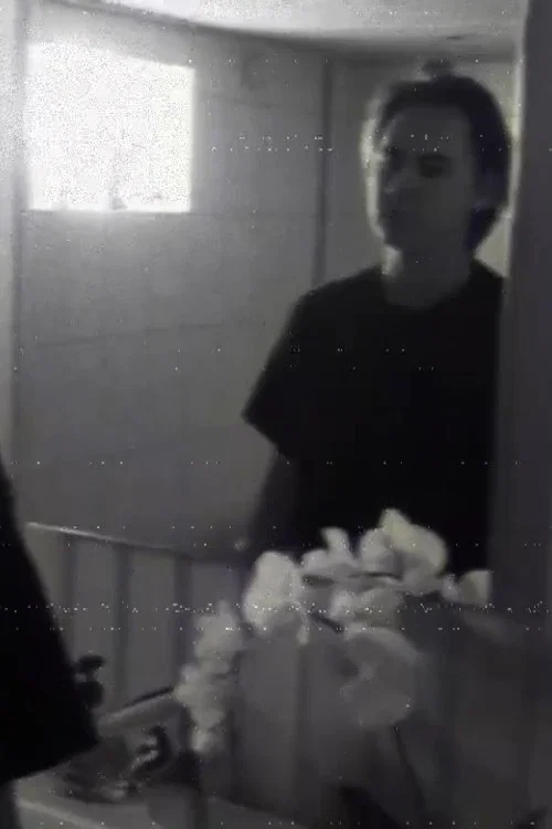 Vad gömmer sig i skuggorna постер