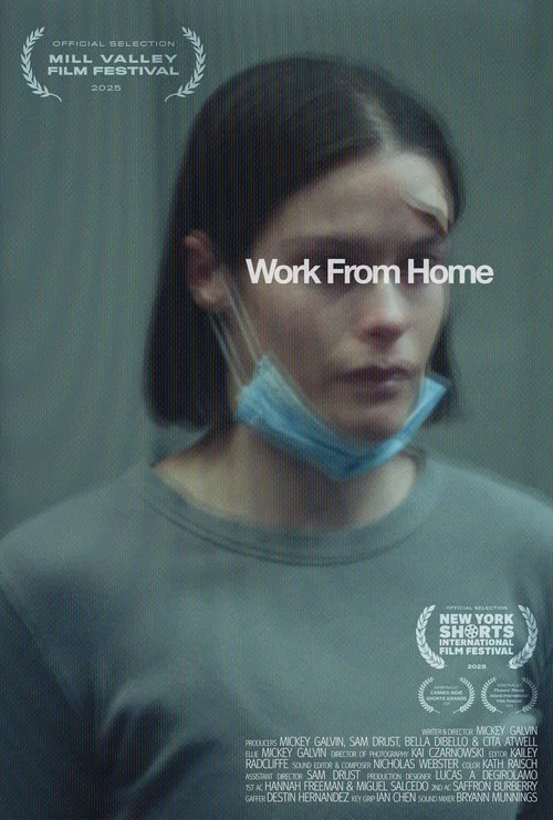 Work From Home постер