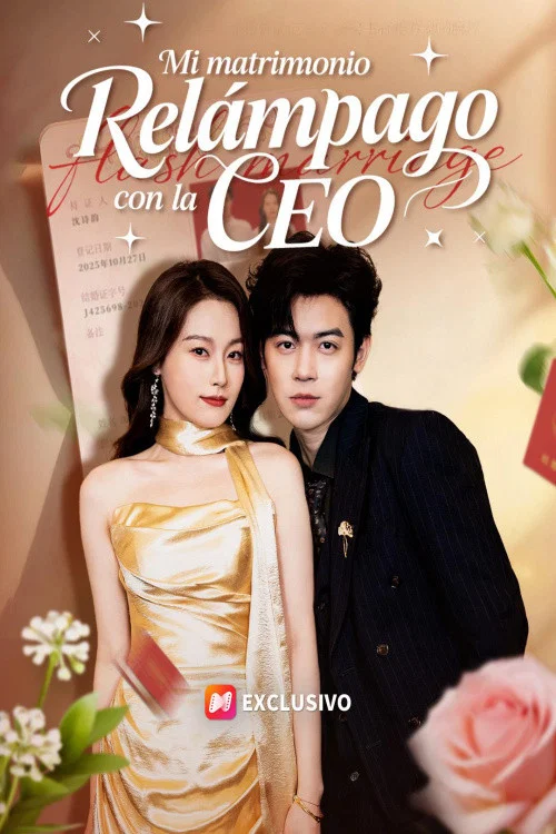 Flash Marriage To My Lady Boss постер