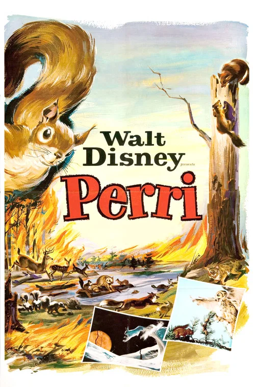 Perri постер