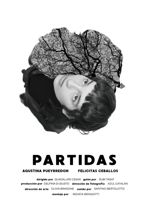 Partidas постер