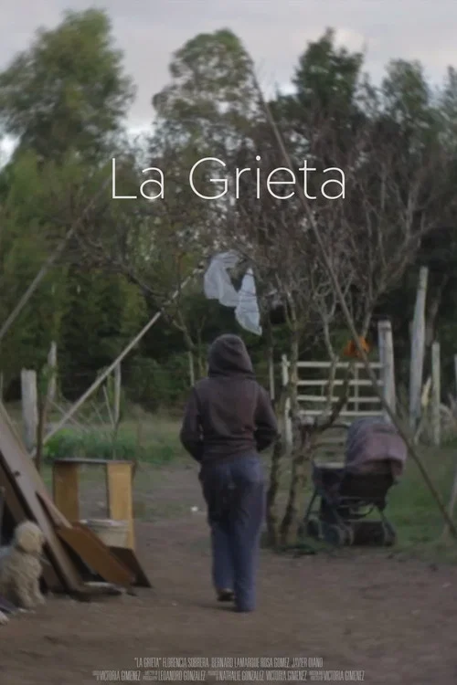 La Grieta постер
