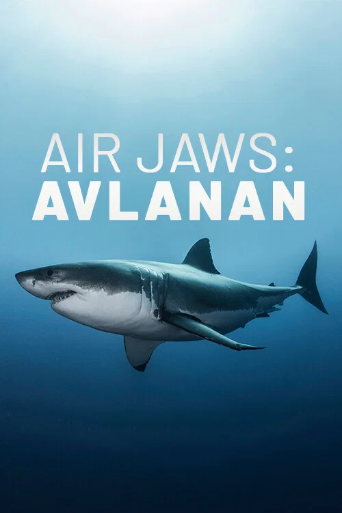 Air Jaws: The Hunted постер