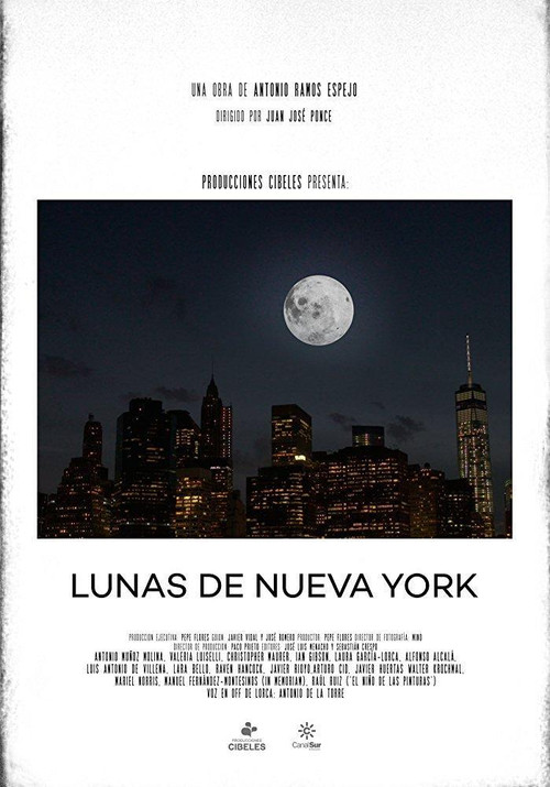 Lunas de Nueva York постер