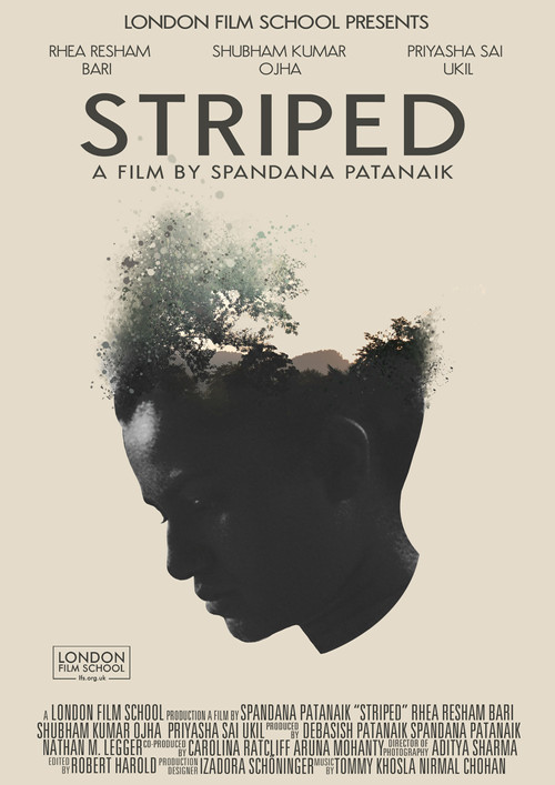Striped постер