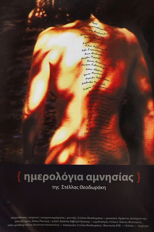 Ημερολόγια αμνησίας постер
