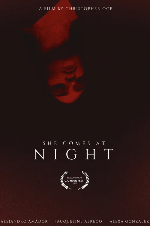 ELLA VIENE EN LA NOCHE постер