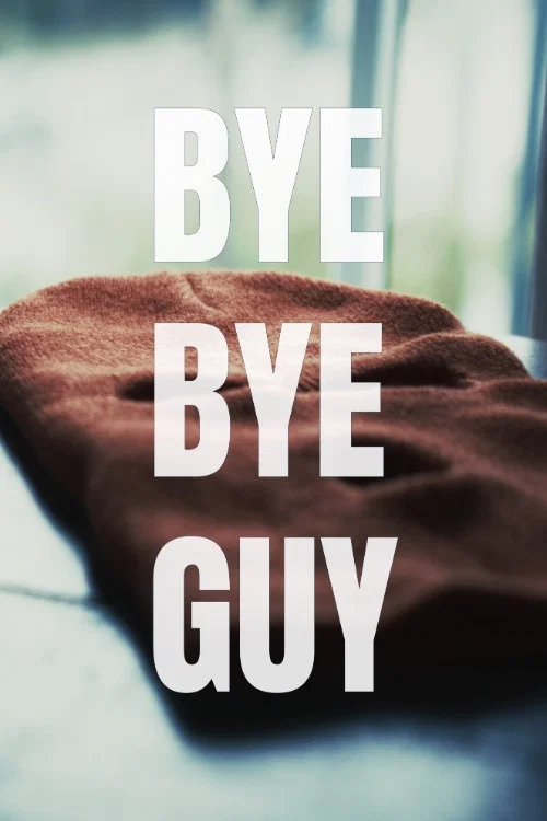 Bye-Bye Guy постер