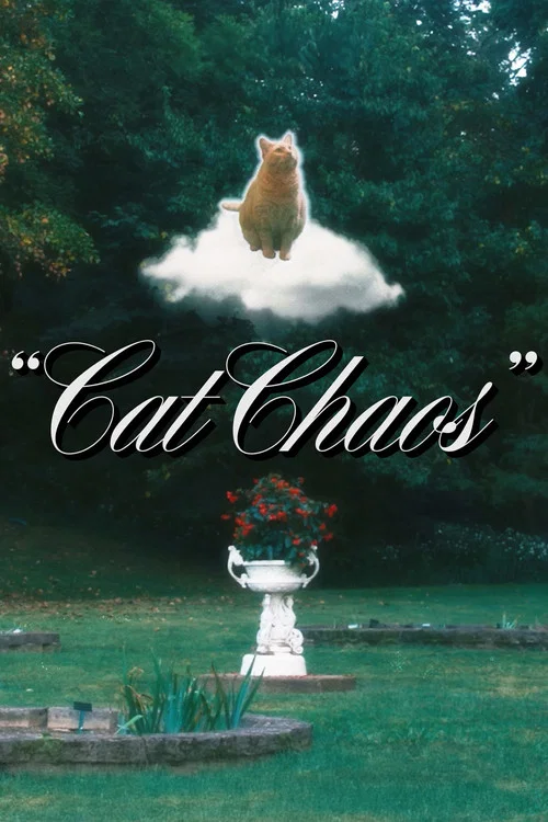 Cat Chaos постер