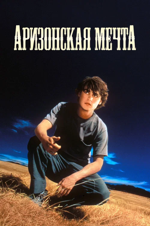 Аризонская мечта постер