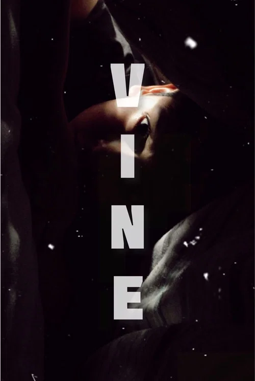 VINE постер