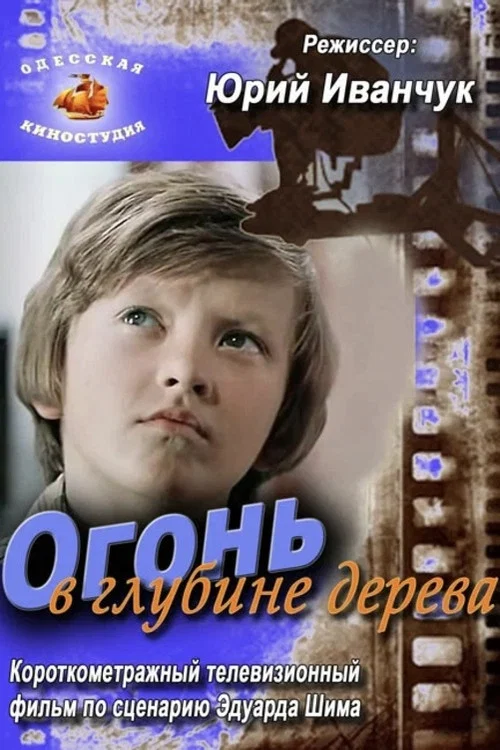 Огонь в глубине дерева постер