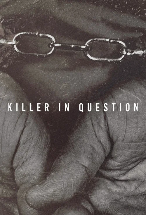 Killer In Question постер