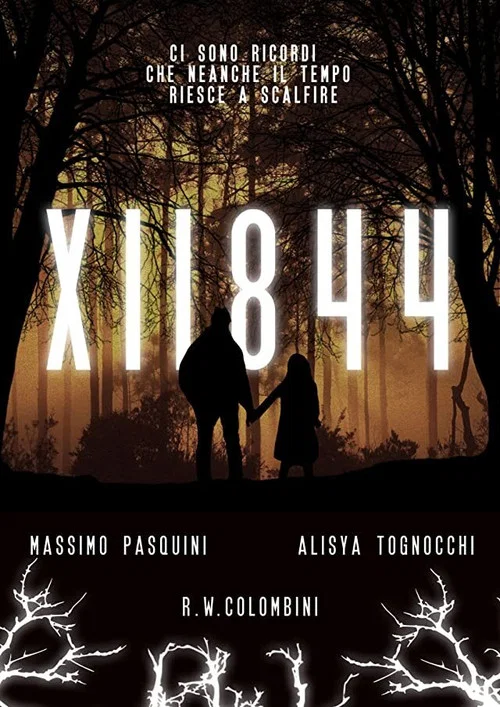 XII844 постер