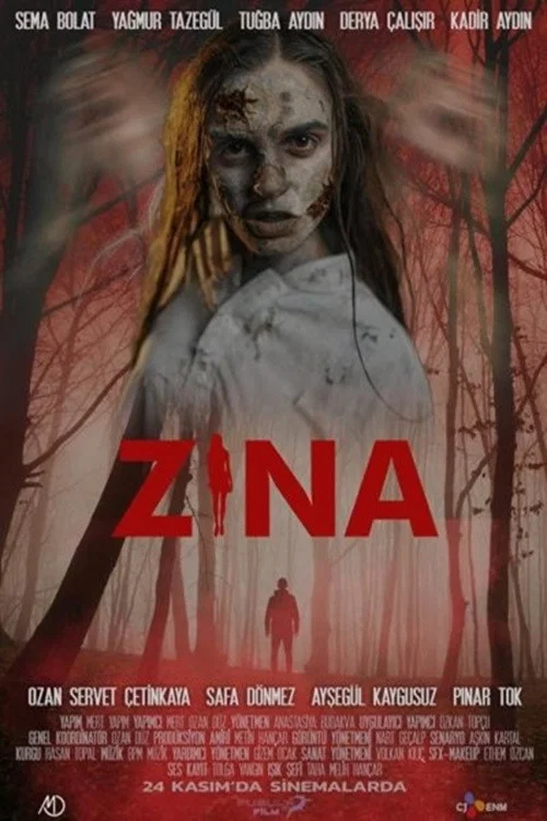 Zina постер