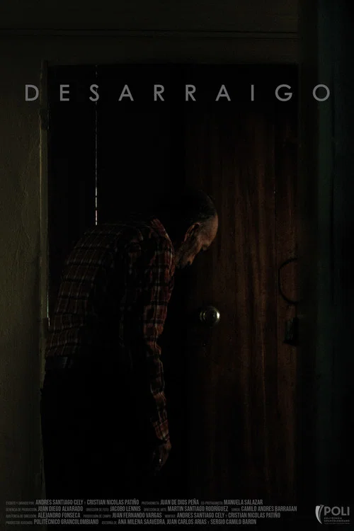 Desarraigo постер