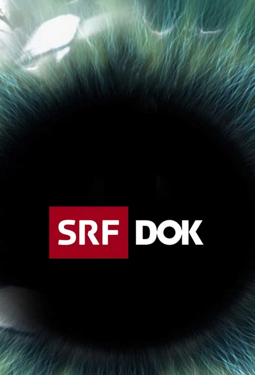 SRF DOK постер