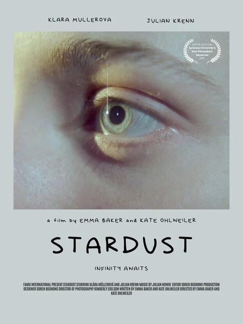 Stardust постер