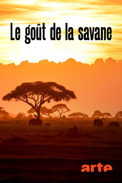 Le Goût de la savane : Herbivores et carnivores, festins croisés постер