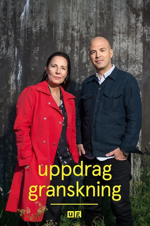 Uppdrag granskning постер