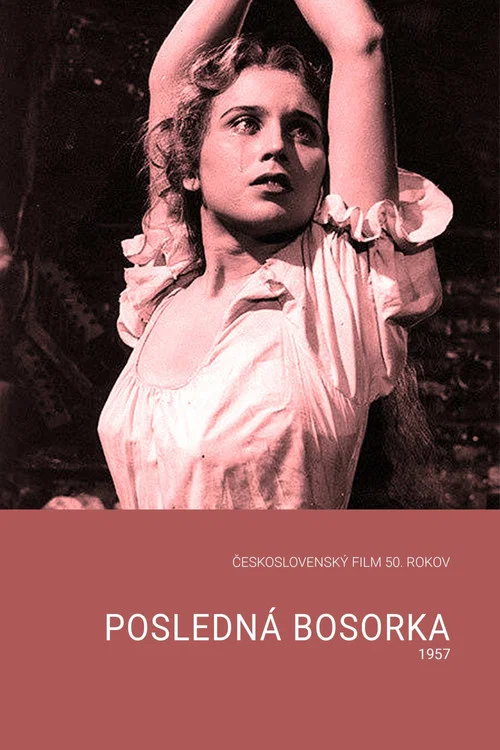 Posledná bosorka постер