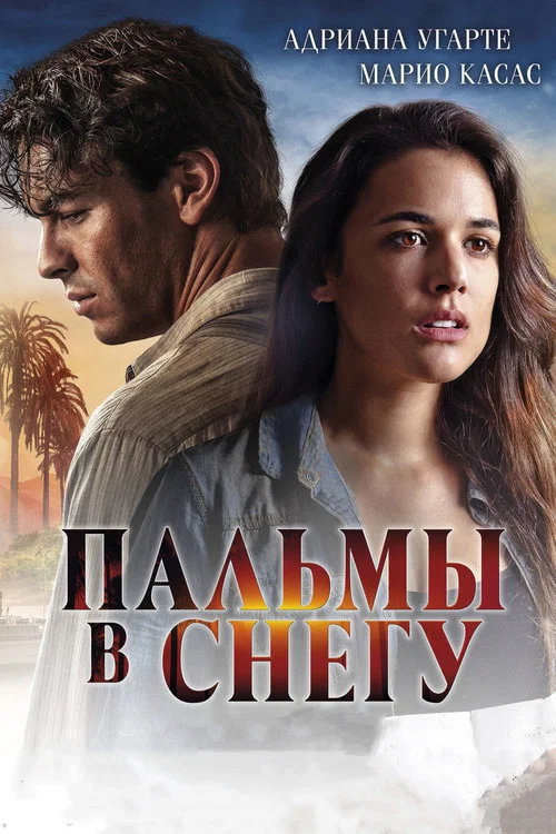 Пальмы в снегу постер