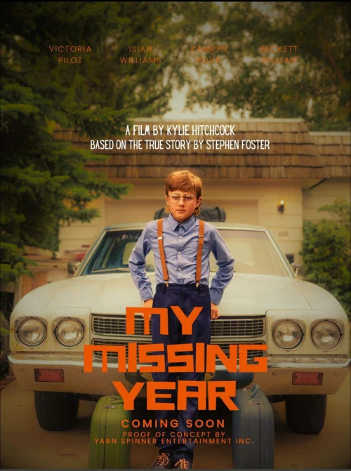 My Missing Year постер