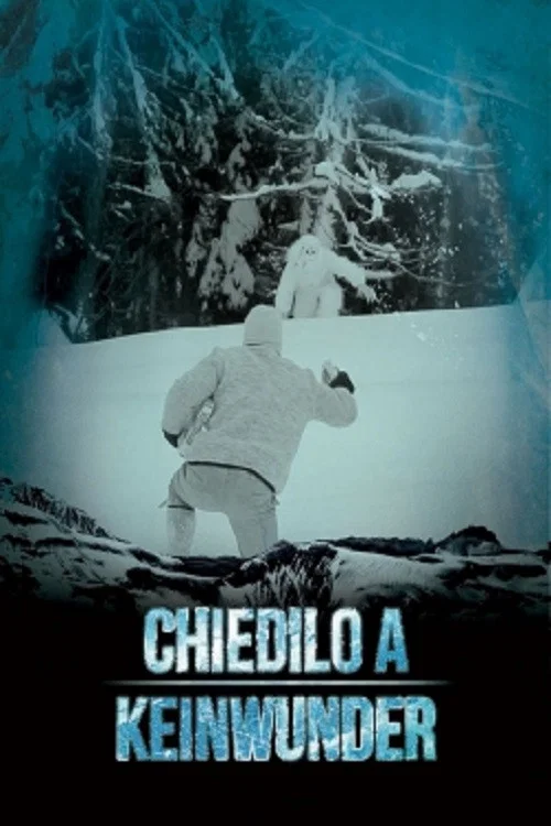 Chiedilo a Keinwunder постер