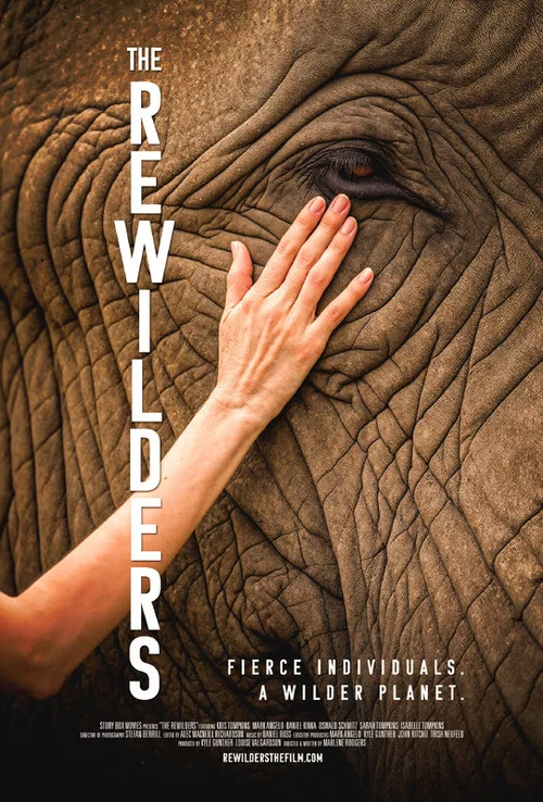 The Rewilders постер