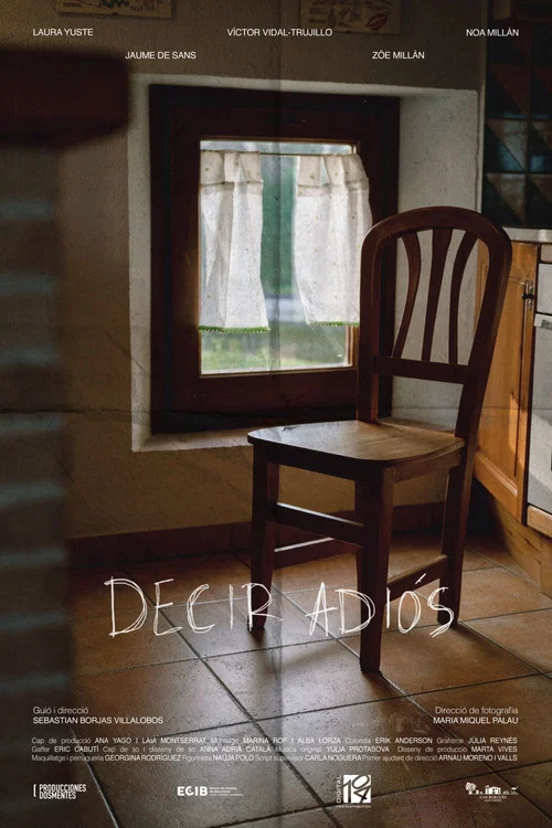 Decir Adiós постер