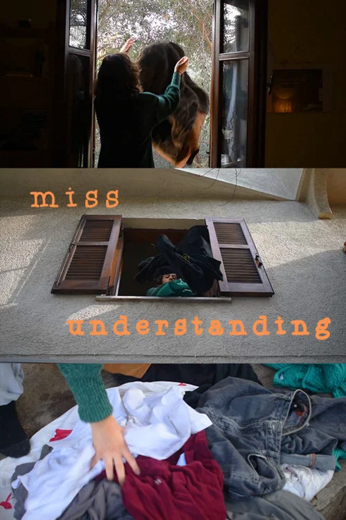 Miss understanding постер