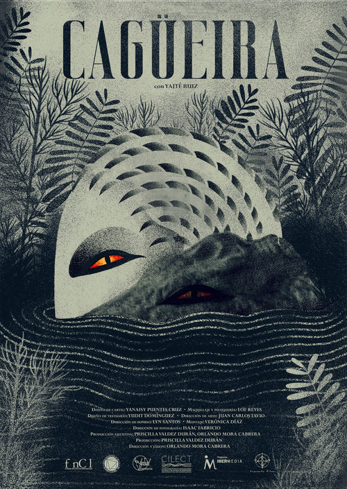 Cagüeira постер