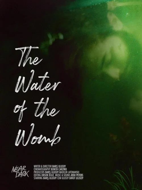 The Water Of The Womb постер