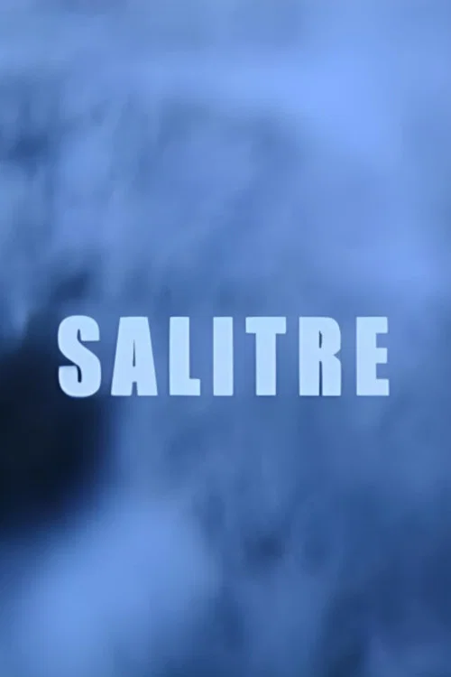 Salitre постер
