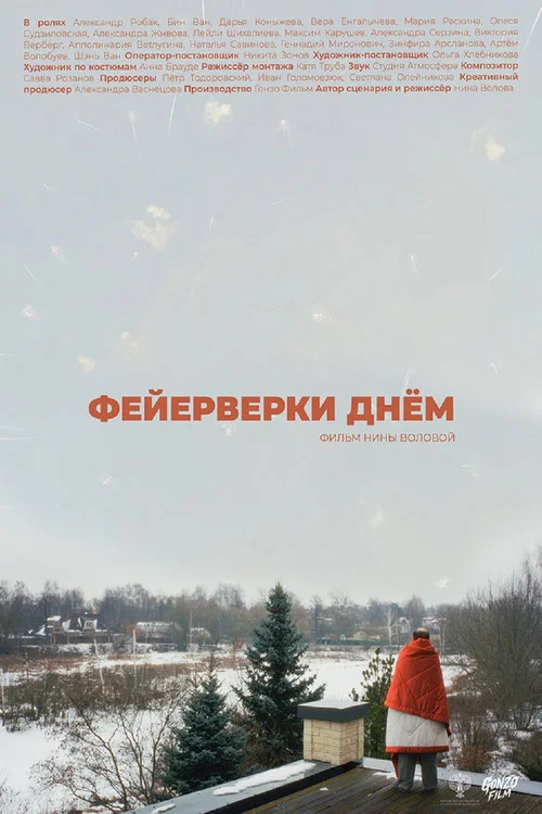 Фейерверки днём постер