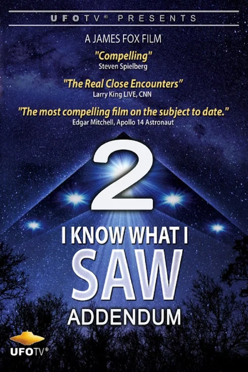 I Know What I Saw Part 2 Addendum постер