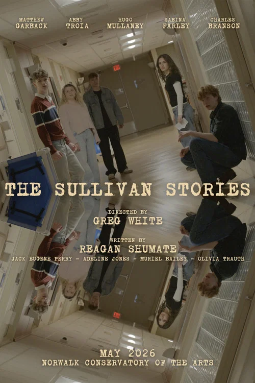 The Sullivan Stories постер