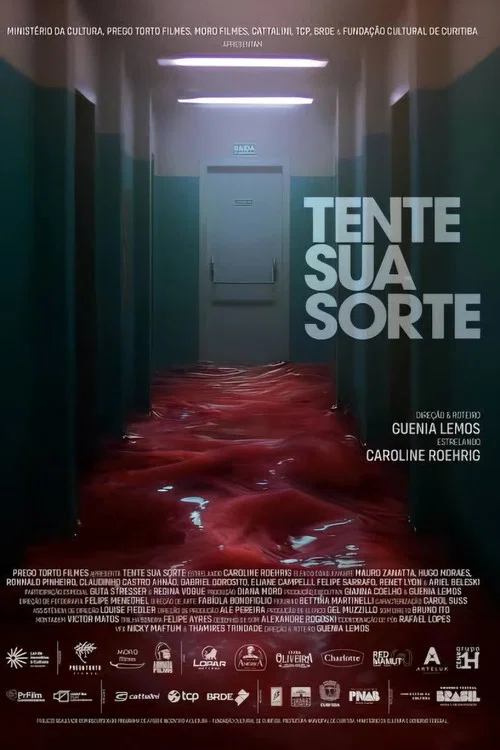 Tente Sua Sorte постер