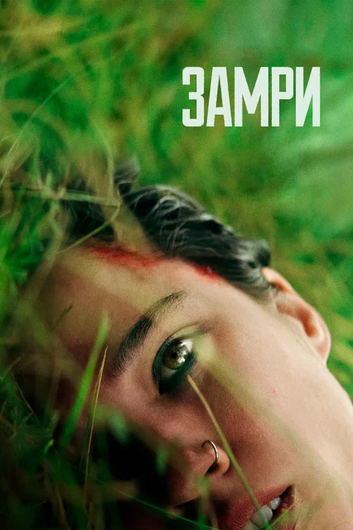 Замри постер